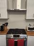 204 Homewood Avenue|Unit #Lower, Hamilton, ON  - Indoor Photo Showing Kitchen 