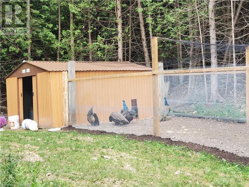 Garden Shed With Poultry - 135 Lake Drive, West Grey, ON - Outdoor