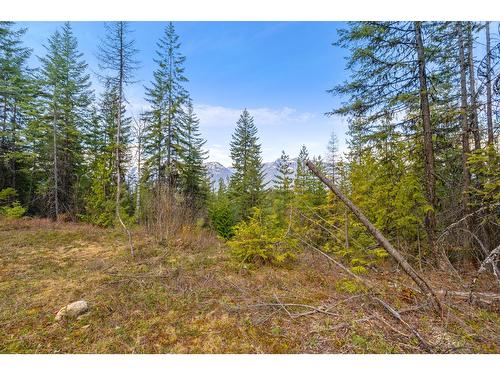 Lot 11 Crown Creek Forest Road, Gray Creek, BC 