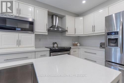61 Carnegie Pl, Hamilton, ON - Indoor Photo Showing Kitchen With Upgraded Kitchen