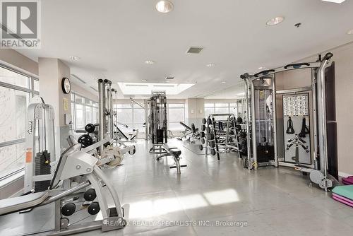 #507 -33 Elm Dr W, Mississauga, ON - Indoor Photo Showing Gym Room