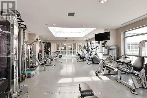#507 -33 Elm Dr W, Mississauga, ON - Indoor Photo Showing Gym Room