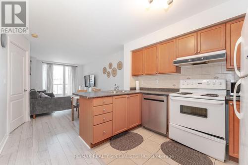 #507 -33 Elm Dr W, Mississauga, ON - Indoor Photo Showing Kitchen With Double Sink