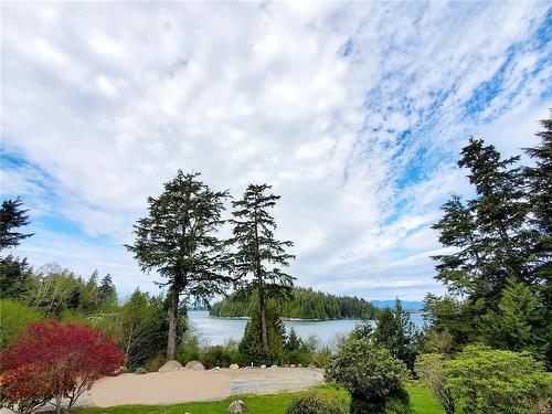 270 Cedar St, Tofino, BC - Outdoor With View