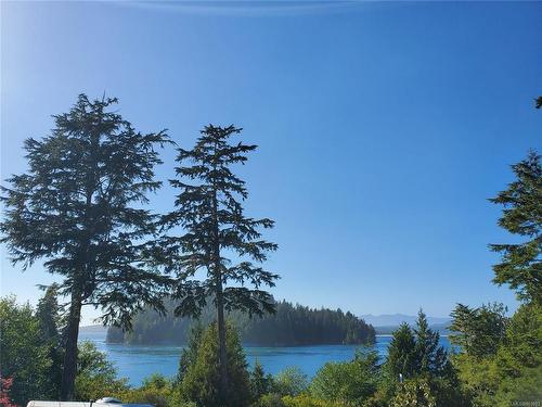 270 Cedar St, Tofino, BC - Outdoor With Body Of Water With View