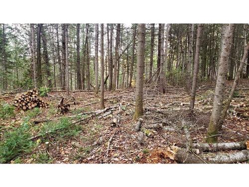 Terre/Terrain - Rue Du Moulin, Sainte-Béatrix, QC 