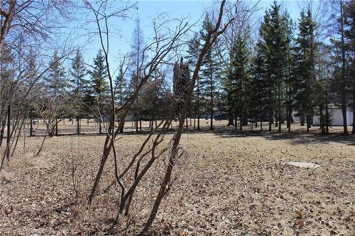 30 Lake Forest Drive, Gimli Rm, MB - Outdoor With View