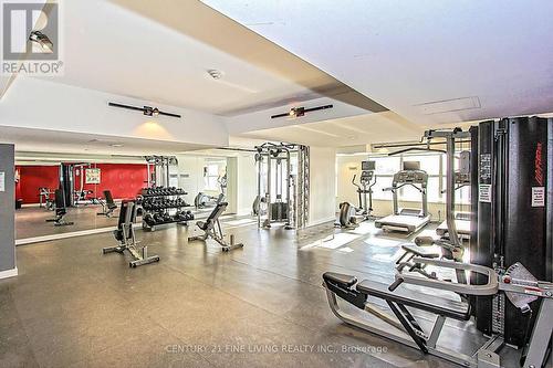 #416 -59 East Liberty St, Toronto, ON - Indoor Photo Showing Gym Room