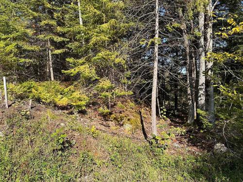 Terre/Terrain - Ch. Des Bâtisseurs, La Conception, QC 