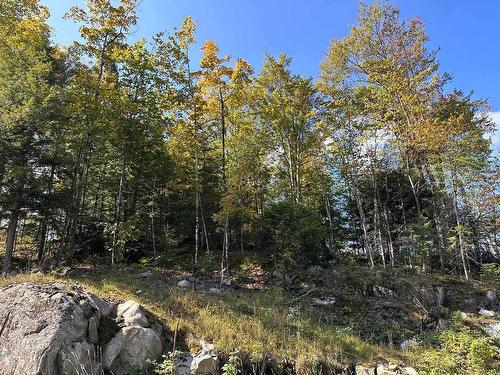 Terre/Terrain - Ch. Des Bâtisseurs, La Conception, QC 