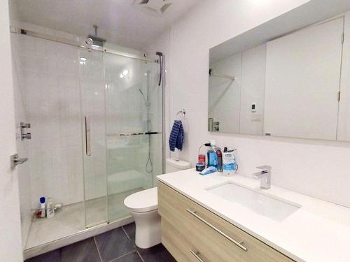 Bathroom - 101-4400 Rue D'Iberville, Montréal (Le Plateau-Mont-Royal), QC - Indoor Photo Showing Bathroom