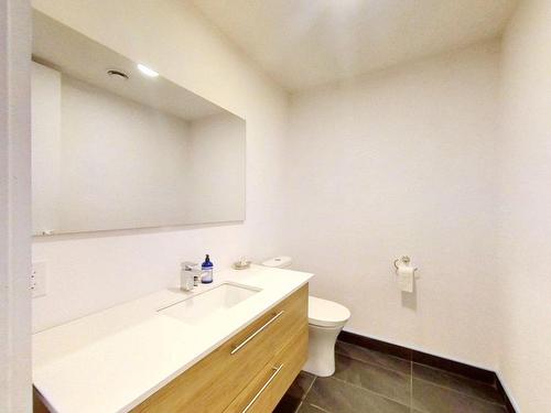 Salle d'eau - 101-4400 Rue D'Iberville, Montréal (Le Plateau-Mont-Royal), QC - Indoor Photo Showing Bathroom