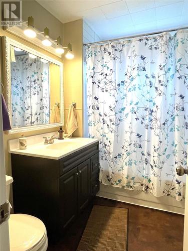 55 Pickett Avenue, Centreville, NL - Indoor Photo Showing Bathroom