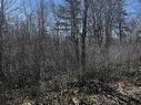 Lot 2023-4 Ridge Road, North Range, NS 