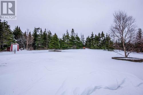 123 Masons Road, Avondale, NL - Outdoor With View