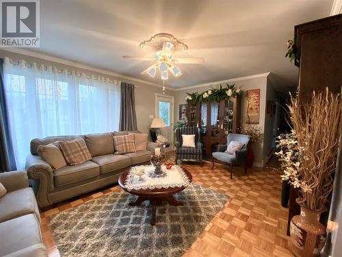 342 Grenfell Heights Heights, Grand Falls-Windsor, NL - Indoor Photo Showing Living Room