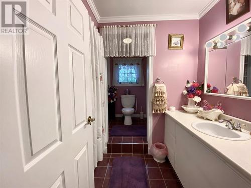 342 Grenfell Heights Heights, Grand Falls-Windsor, NL - Indoor Photo Showing Bathroom