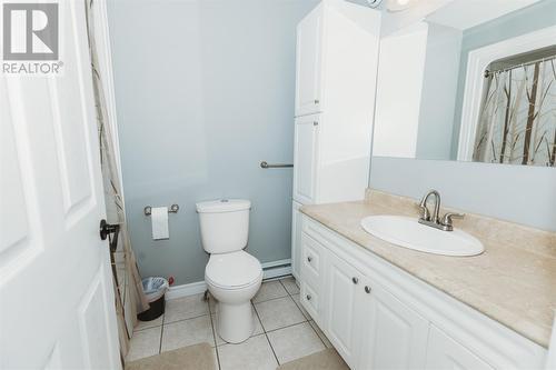 14 Hanlon Drive, Massey Drive, NL - Indoor Photo Showing Bathroom