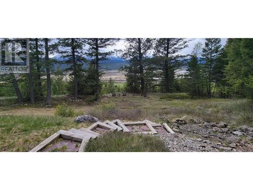 2360/2380 95 Highway, Spillimacheen, BC - Outdoor With View