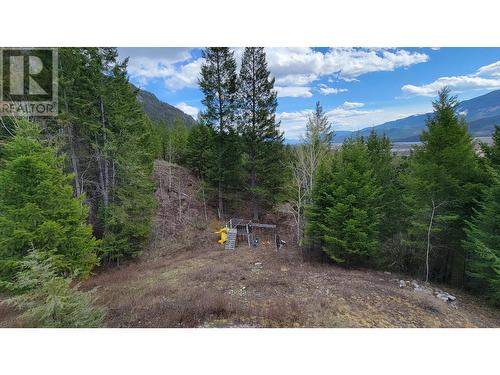 2360/2380 95 Highway, Spillimacheen, BC - Outdoor With View