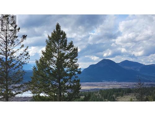 2360/2380 95 Highway, Spillimacheen, BC - Outdoor With View