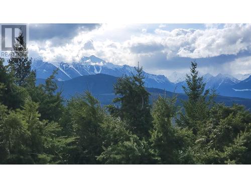 2360/2380 95 Highway, Spillimacheen, BC - Outdoor With View