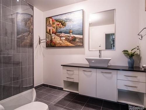 Bathroom - 419-1200 Rue St-Alexandre, Montréal (Ville-Marie), QC - Indoor Photo Showing Bathroom