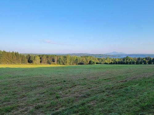 Terre/Terrain - Ch. De Fitch Bay, Stanstead - Canton, QC 