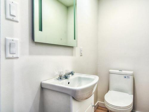 Powder room - 1 Rue St-Donat, Sainte-Agathe-Des-Monts, QC - Indoor Photo Showing Bathroom