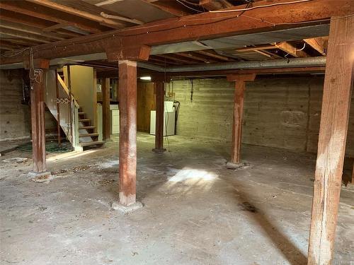 921 Government St, Duncan, BC - Indoor Photo Showing Basement