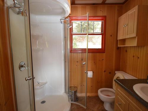 Salle de bains - 10091 Rue Chadrofer, La Minerve, QC - Indoor Photo Showing Bathroom