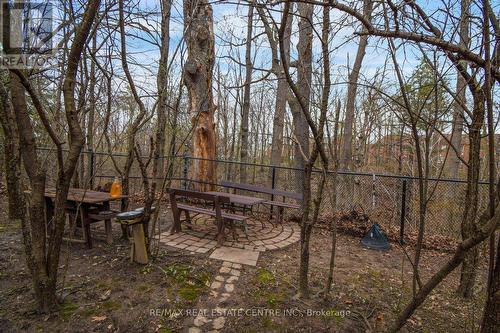 1045 Knotty Pine Grve, Mississauga, ON - Outdoor With View