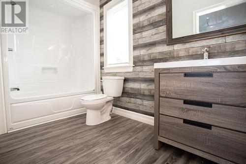 102 Peninsula Road, Whitbourne, NL - Indoor Photo Showing Bathroom