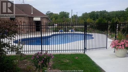 404 County Road 2, Lakeshore, ON - Outdoor With In Ground Pool