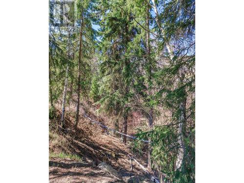 7243 Rainbow Crescent, Canim Lake, BC - Outdoor With View