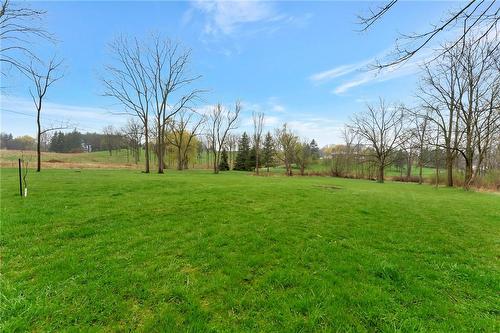 Your 1.3 acre view! - 1029 Lower Lions Club Road, Dundas, ON 
