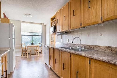 75 Queen Street N|Unit #308, Hamilton, ON - Indoor Photo Showing Kitchen With Double Sink