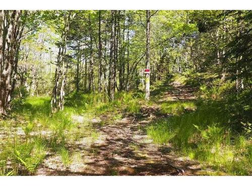 Lot Small Gains Road Ne, Arcadia, NS 