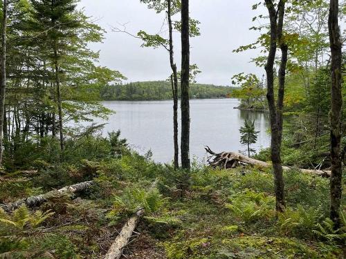 Lot Small Gains Road Ne, Arcadia, NS 