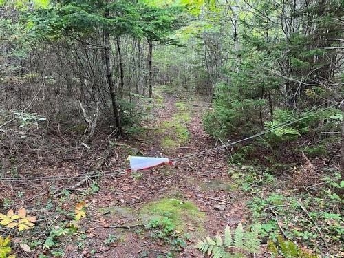 Lot Small Gains Road Ne, Arcadia, NS 