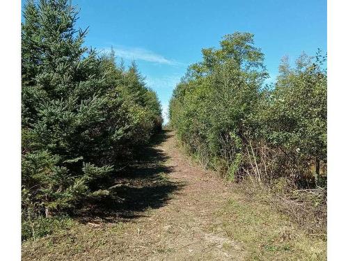 Lot Small Gains Road Ne, Arcadia, NS 