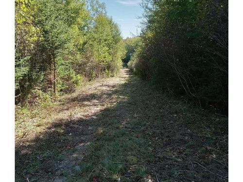 Lot Small Gains Road Ne, Arcadia, NS 