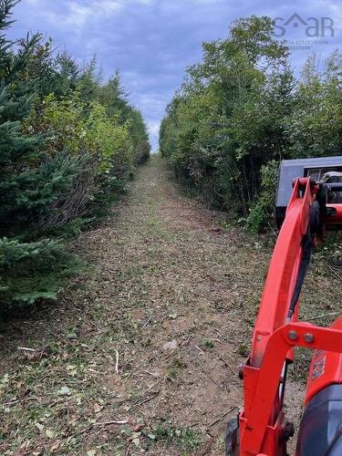 Lot Small Gains Road Ne, Arcadia, NS 