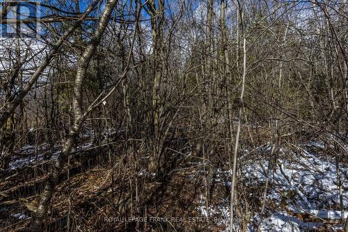 950 Sharon Court, Smith-Ennismore-Lakefield, ON - Outdoor With View