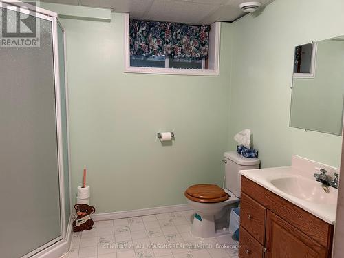 63 New Carlow Rd, Carlow/Mayo, ON - Indoor Photo Showing Bathroom