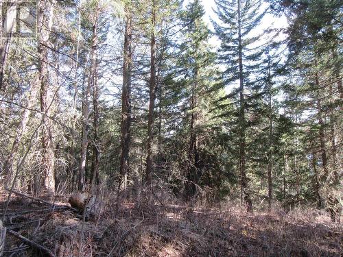 Lot 103 Julsrud Road, 100 Mile House, BC 