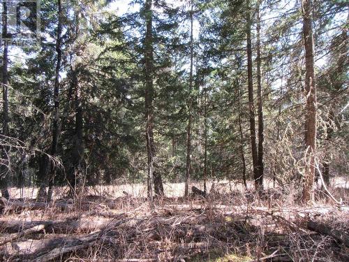 Lot 103 Julsrud Road, 100 Mile House, BC 