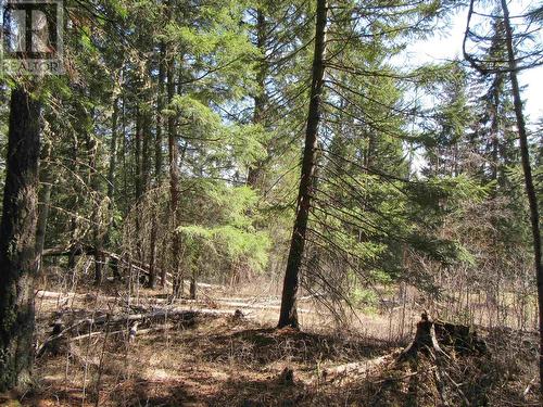 Lot 104 Julsrud Road, 100 Mile House, BC 