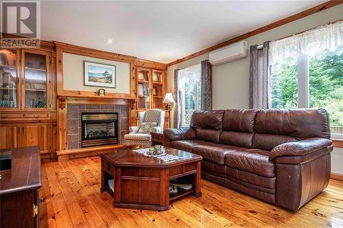 271 Three Island Pond Road, Paradise, NL - Indoor Photo Showing Living Room With Fireplace