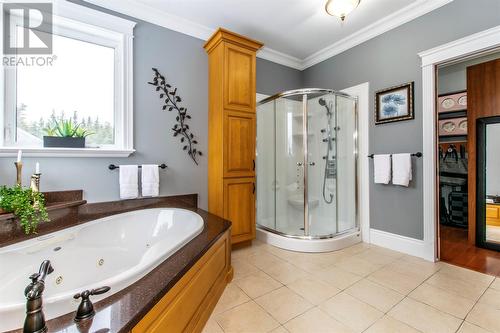 223 Olivers Pond Road, Portugal Cove-St. Philips, NL - Indoor Photo Showing Bathroom